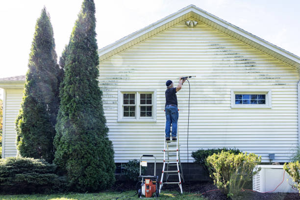 Professional Pressure washing in Burke, VA